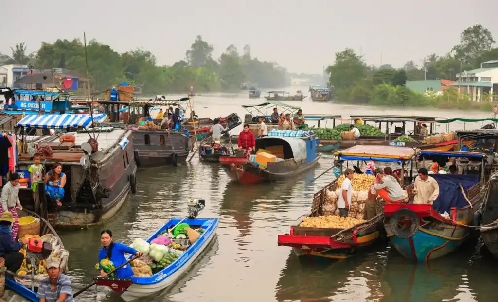 메콩 강 삼각주 (Mekong Delta)